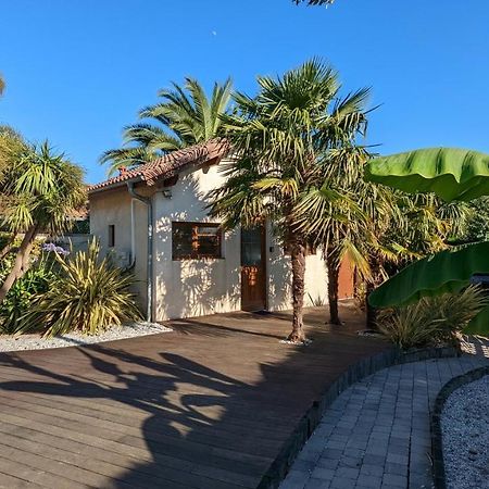 Saint-Martin-de-Seignanx Guest House Au Milieu Des Palmiers מראה חיצוני תמונה