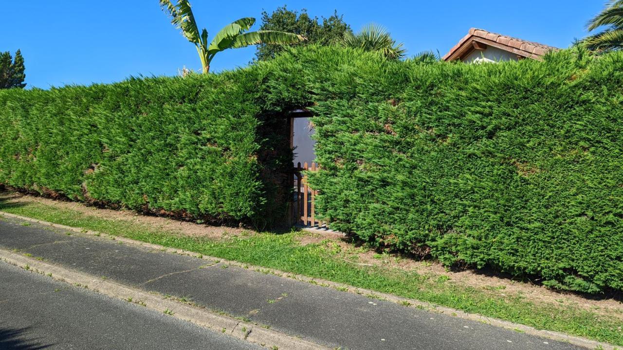 Saint-Martin-de-Seignanx Guest House Au Milieu Des Palmiers מראה חיצוני תמונה